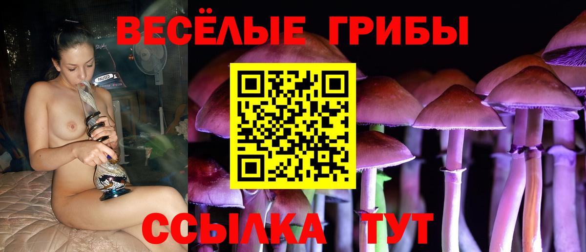 Галлюциногенные грибы MAGIC MUSHROOMS Рассказово