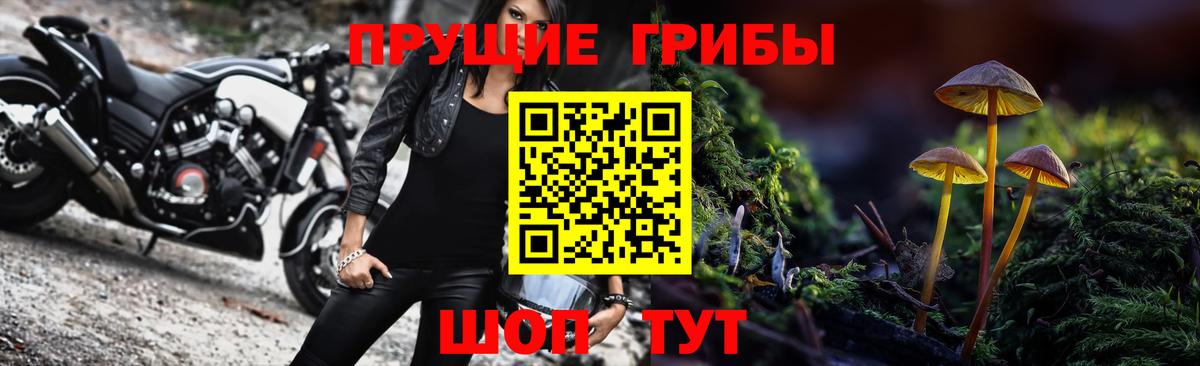 как найти наркотики  Вход с VPN  Рассказово  Псилоцибиновые грибы Cubensis 